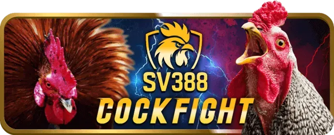 Hỗ trợ Trực tuyến bl88